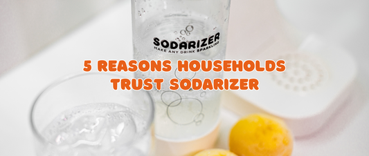 Is Sodarizer worth it for families? ✅