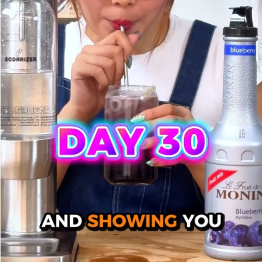 Blueberry Lemonade Sparkling Water Recipe