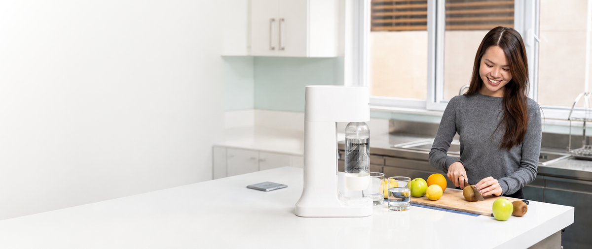 Sodarizer soda makers